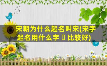 宋朝为什么起名叫宋(宋字起名用什么字 ☘ 比较好)